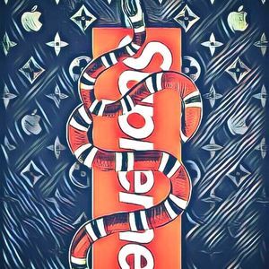 Meet your Posher, Noah